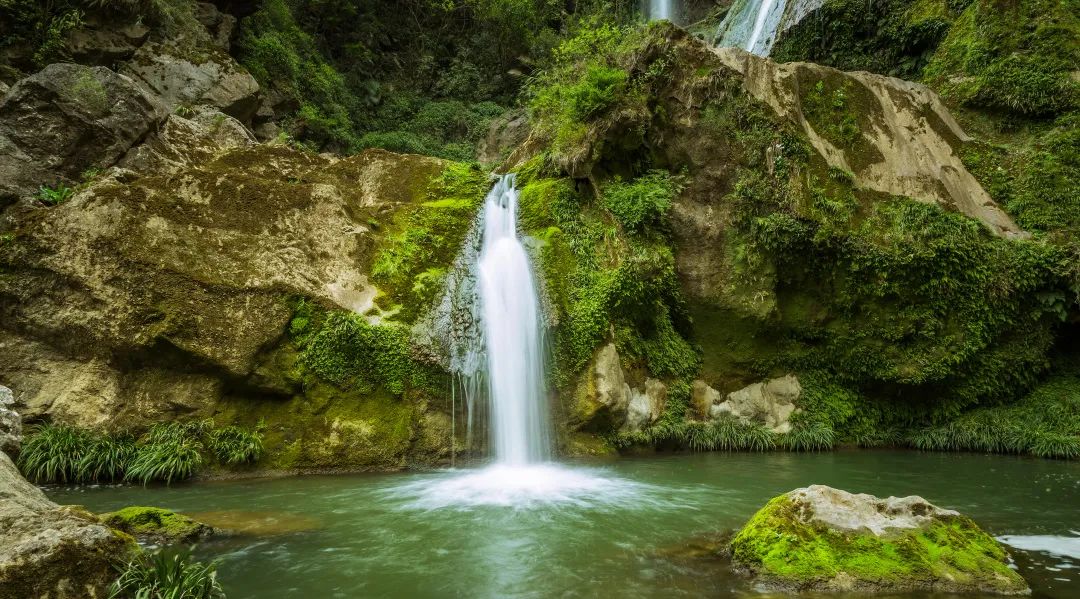 W020220330496373221326.jpg W020220330496373221326.jpg