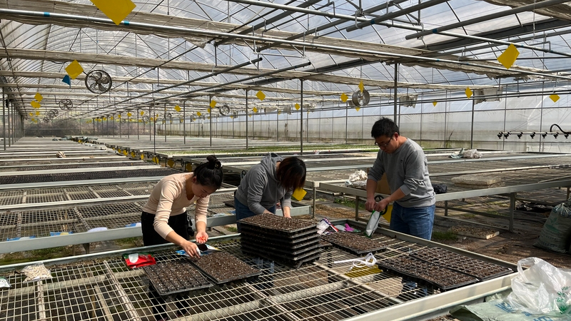 微信圖片_20230315132507.jpg 微信圖片_20230315132507.jpg