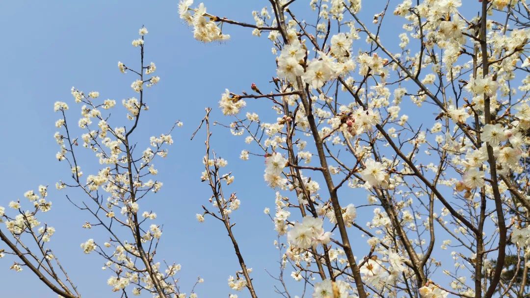 微信圖片_20230315135531.jpg 微信圖片_20230315135531.jpg