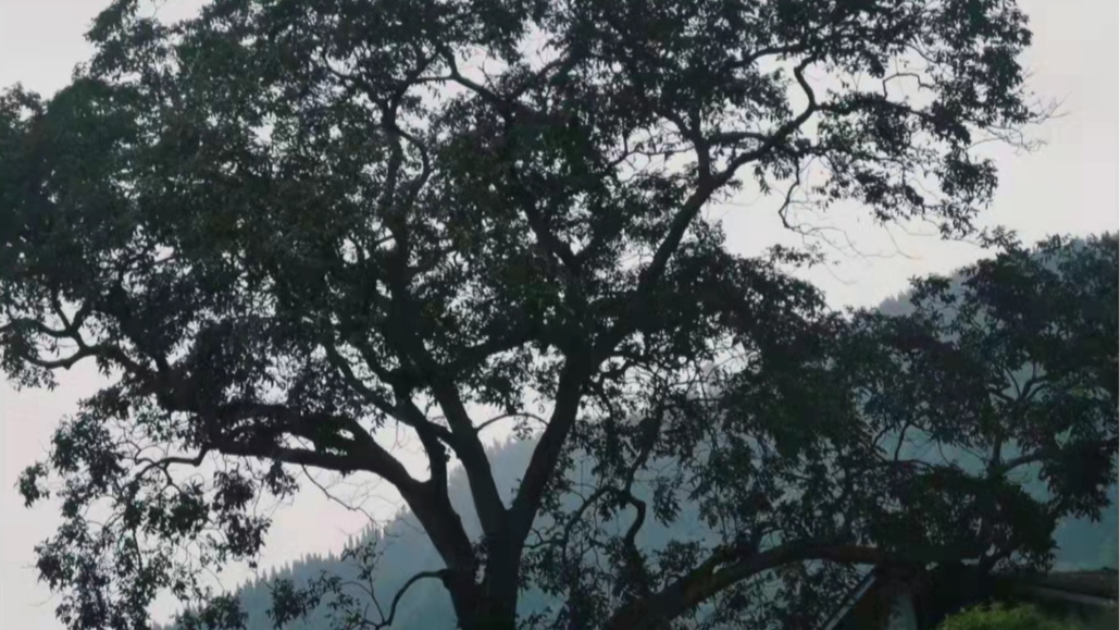 微信圖片_20230315135542.png 微信圖片_20230315135542.png