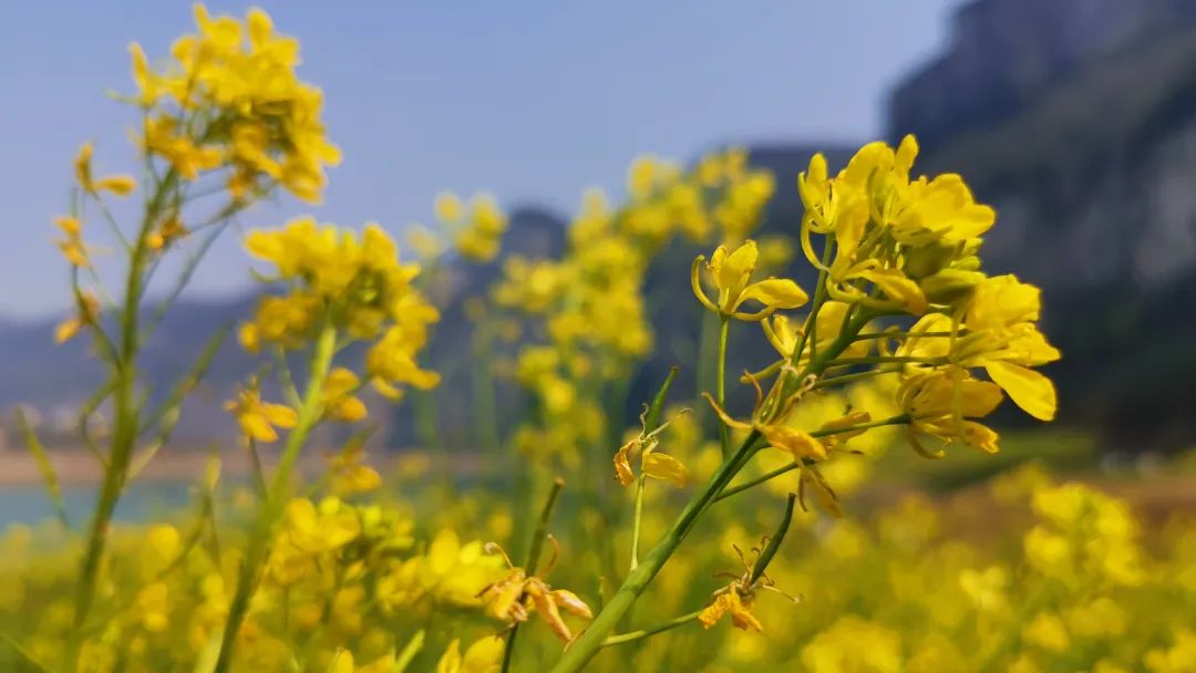 微信圖片_20230315135547.jpg 微信圖片_20230315135547.jpg