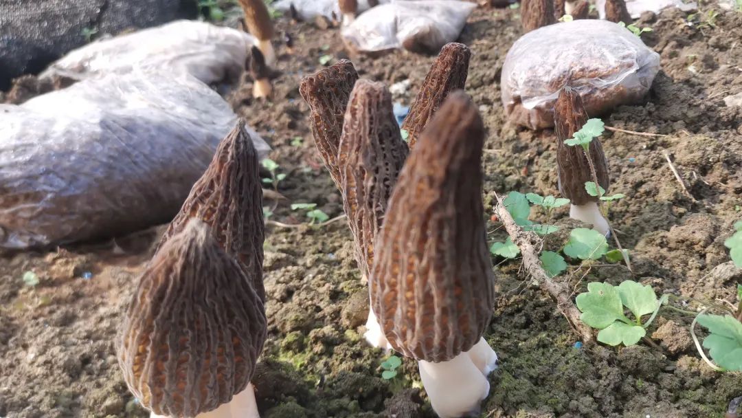 微信圖片_20230315135601.jpg 微信圖片_20230315135601.jpg