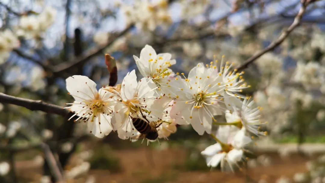 微信圖片_20230315135604.jpg 微信圖片_20230315135604.jpg