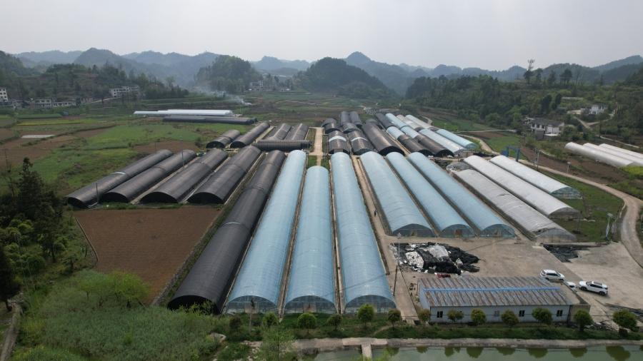 微信圖片_20230421144238.jpg 微信圖片_20230421144238.jpg