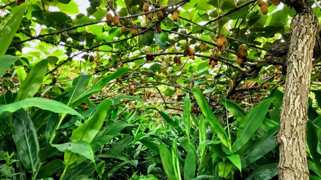 8cdcc89e9a7a9fb2ccbc2d0c99e88c01.jpg 8cdcc89e9a7a9fb2ccbc2d0c99e88c01.jpg