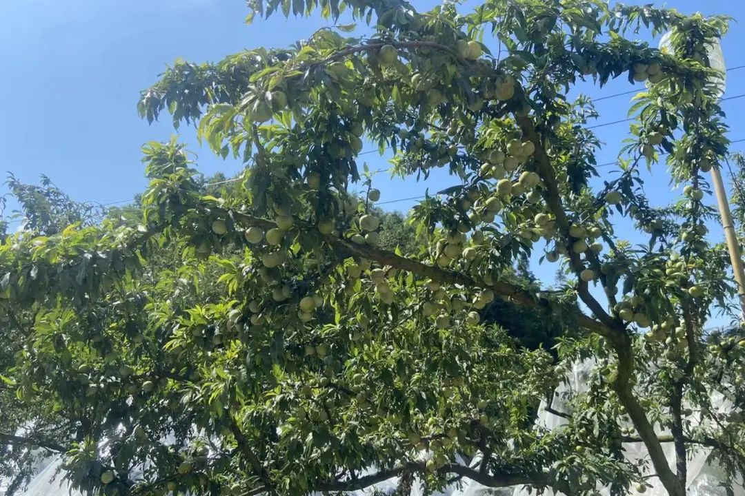 4c75c1ac7af35b4052641af0e18e5347.jpg 4c75c1ac7af35b4052641af0e18e5347.jpg