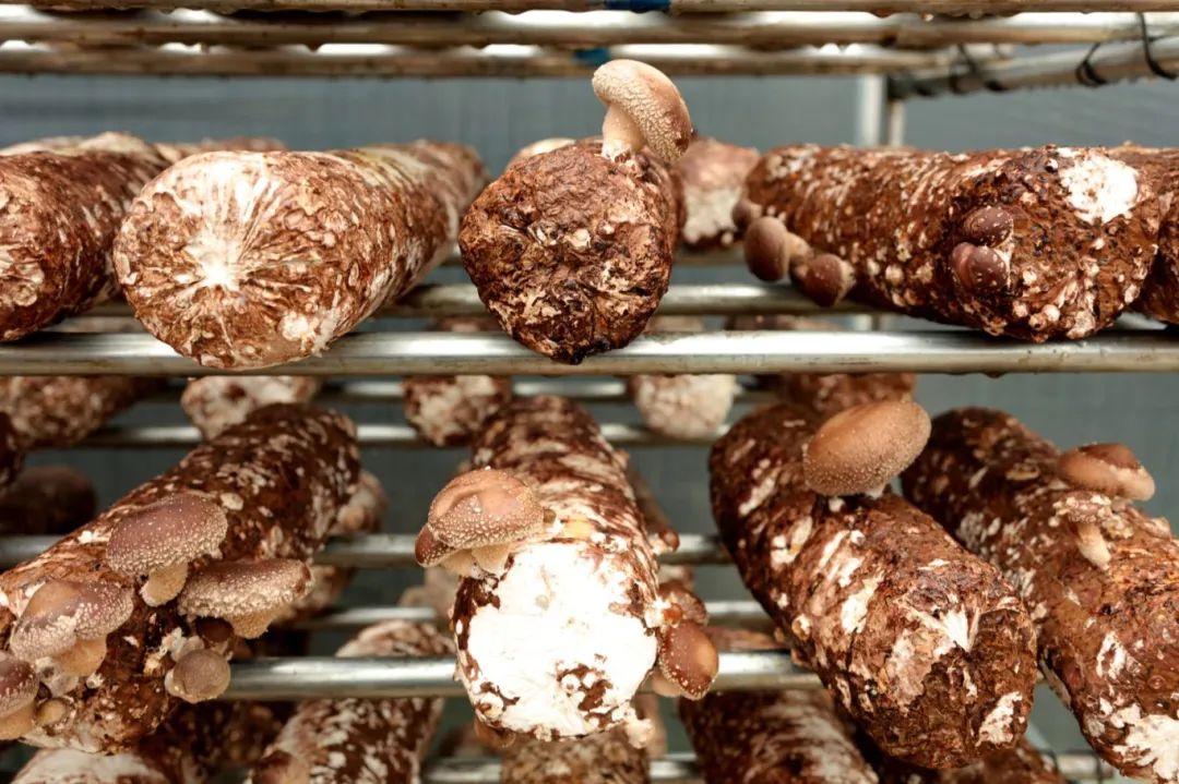 a0b7b83e95c32acae404464a38c1d72e.jpg a0b7b83e95c32acae404464a38c1d72e.jpg