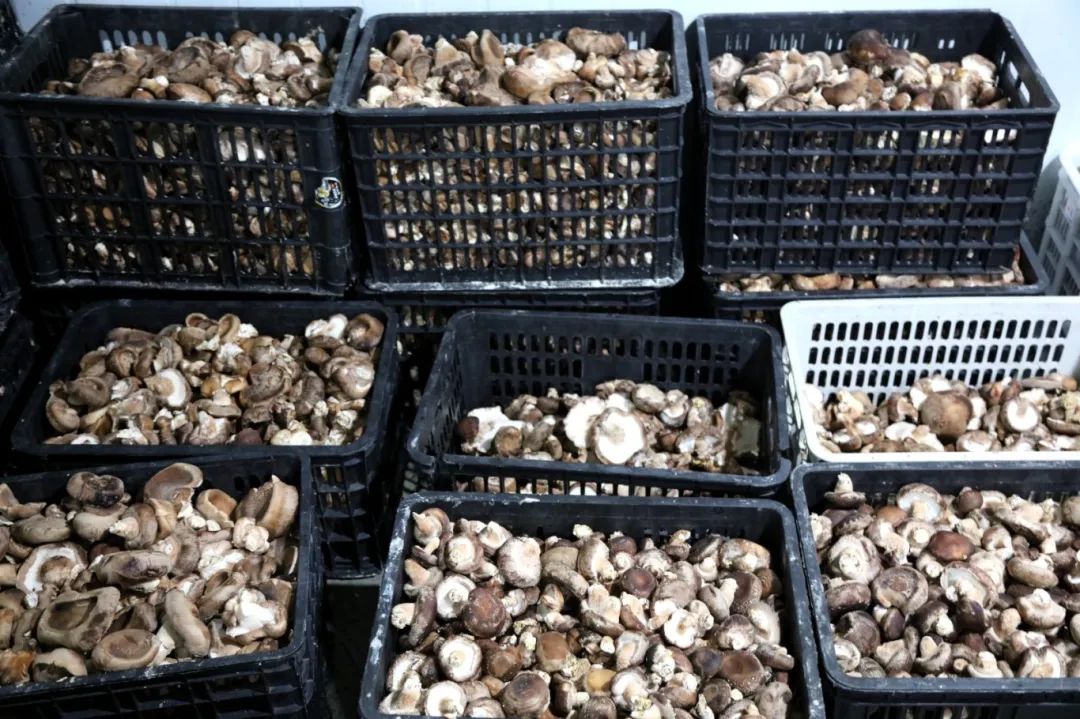 5a139894eb79768f5849165567aa1ec3.jpg 5a139894eb79768f5849165567aa1ec3.jpg