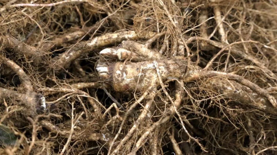 4179d3124c7f31a029f1c567e9945ad4.jpg 4179d3124c7f31a029f1c567e9945ad4.jpg