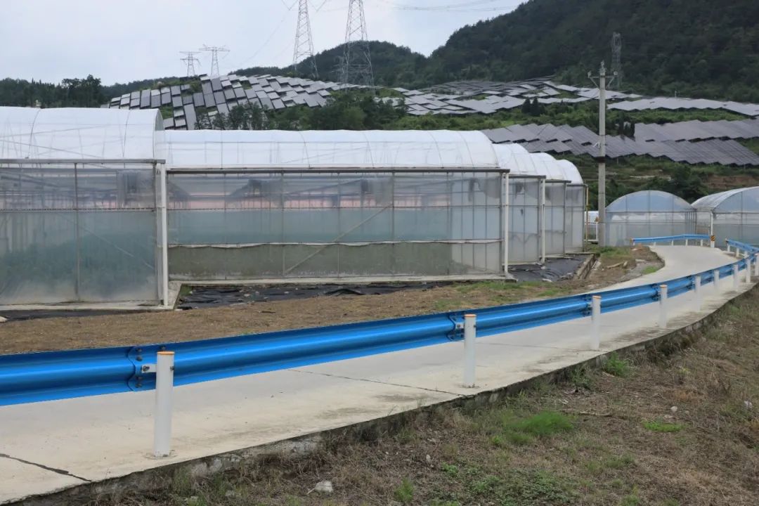 5632db0ebfc96bc84faf2593eeac9bb9.jpg 5632db0ebfc96bc84faf2593eeac9bb9.jpg