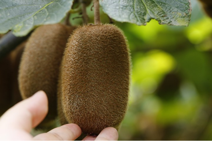 00cd0d2256d2d5e4214f07e9bd58a09f.png 00cd0d2256d2d5e4214f07e9bd58a09f.png