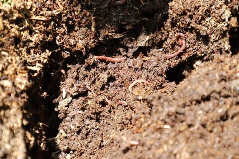 6b95a4fcf95b395047e52978138f082a.jpg 6b95a4fcf95b395047e52978138f082a.jpg