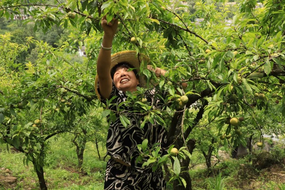 8eedbce2090c2ddba4bc03ac60f7d7bf.jpg 8eedbce2090c2ddba4bc03ac60f7d7bf.jpg