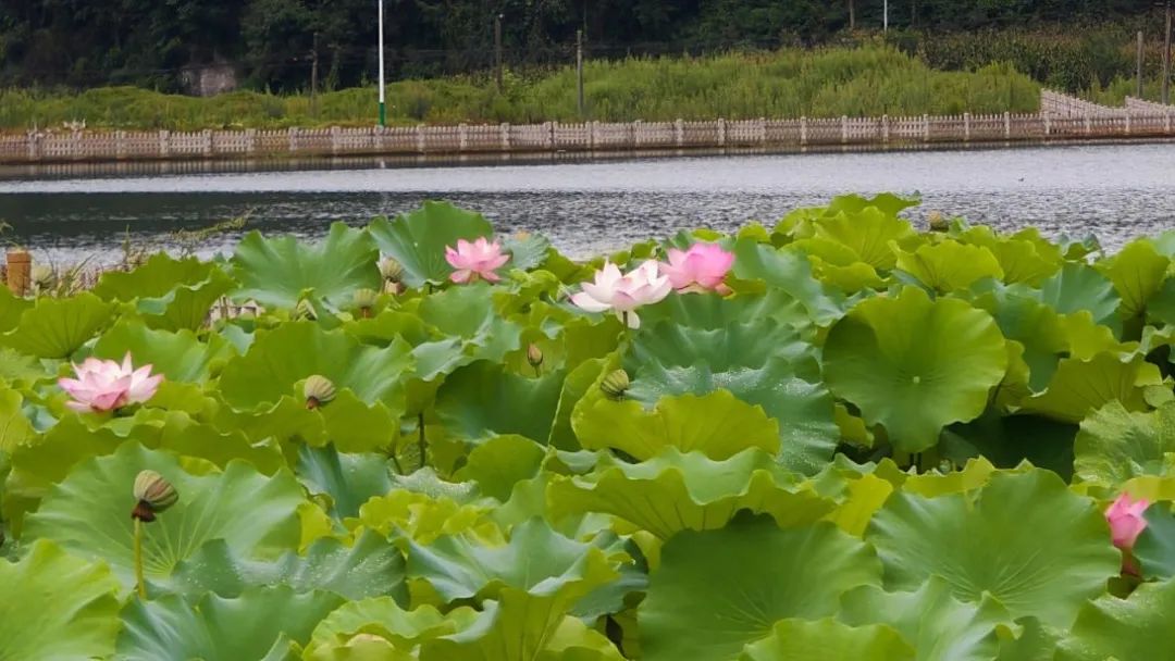 d87885b85e791d383a961c915ec80d82.jpg d87885b85e791d383a961c915ec80d82.jpg