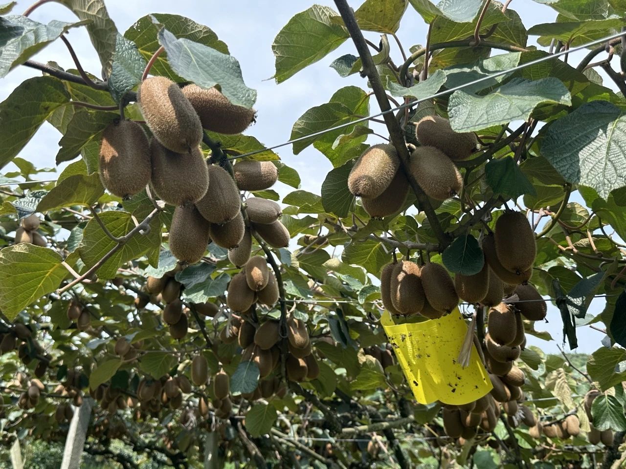 151e7bf3d048a0c64074e340adab9eee.jpg 151e7bf3d048a0c64074e340adab9eee.jpg