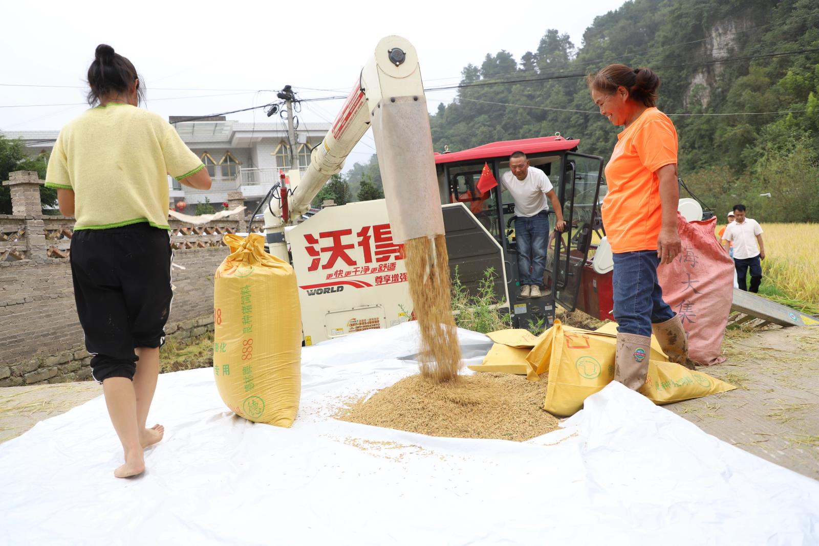 7e9595be305539ec0b8dd50b347e286f.jpg 7e9595be305539ec0b8dd50b347e286f.jpg