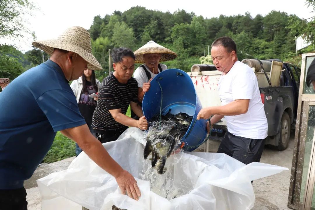 349c9edc3d7c193cabffee4f8a7cc6c6.jpg 349c9edc3d7c193cabffee4f8a7cc6c6.jpg