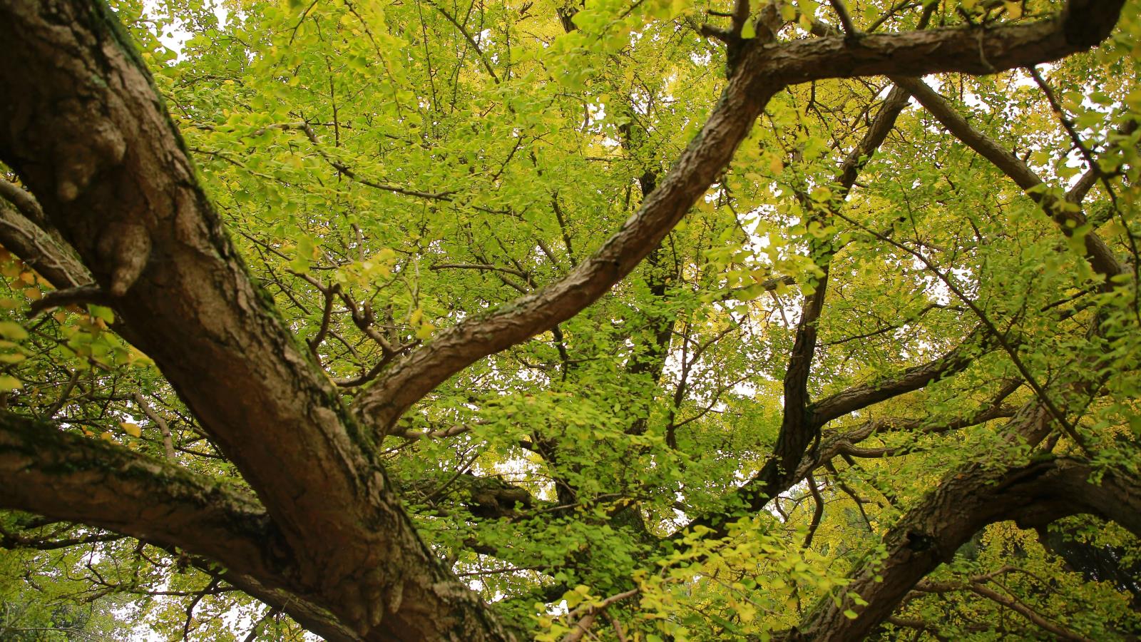 a85cbfe97ae2151d06ab9624e4352b0e.jpg a85cbfe97ae2151d06ab9624e4352b0e.jpg