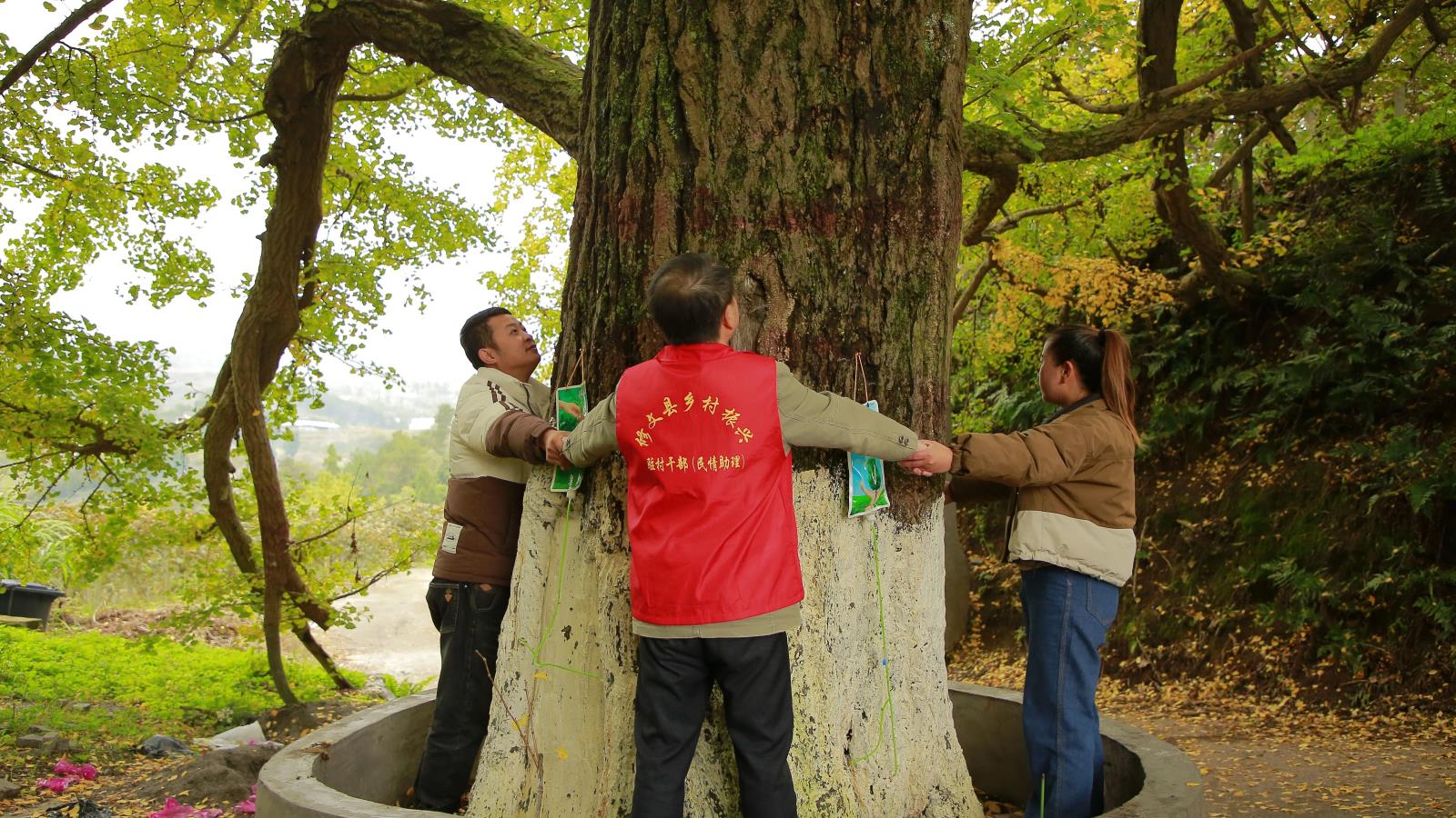 4075f710e10064460dc28253baff6ce0.jpg 4075f710e10064460dc28253baff6ce0.jpg