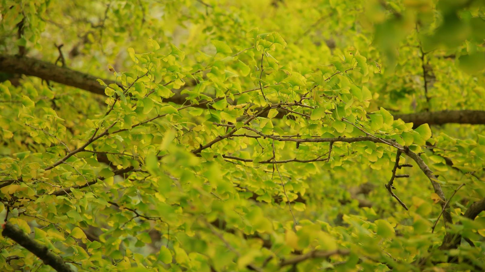 cb6189c94635a4ac3895f18ef8d30e4c.jpg cb6189c94635a4ac3895f18ef8d30e4c.jpg