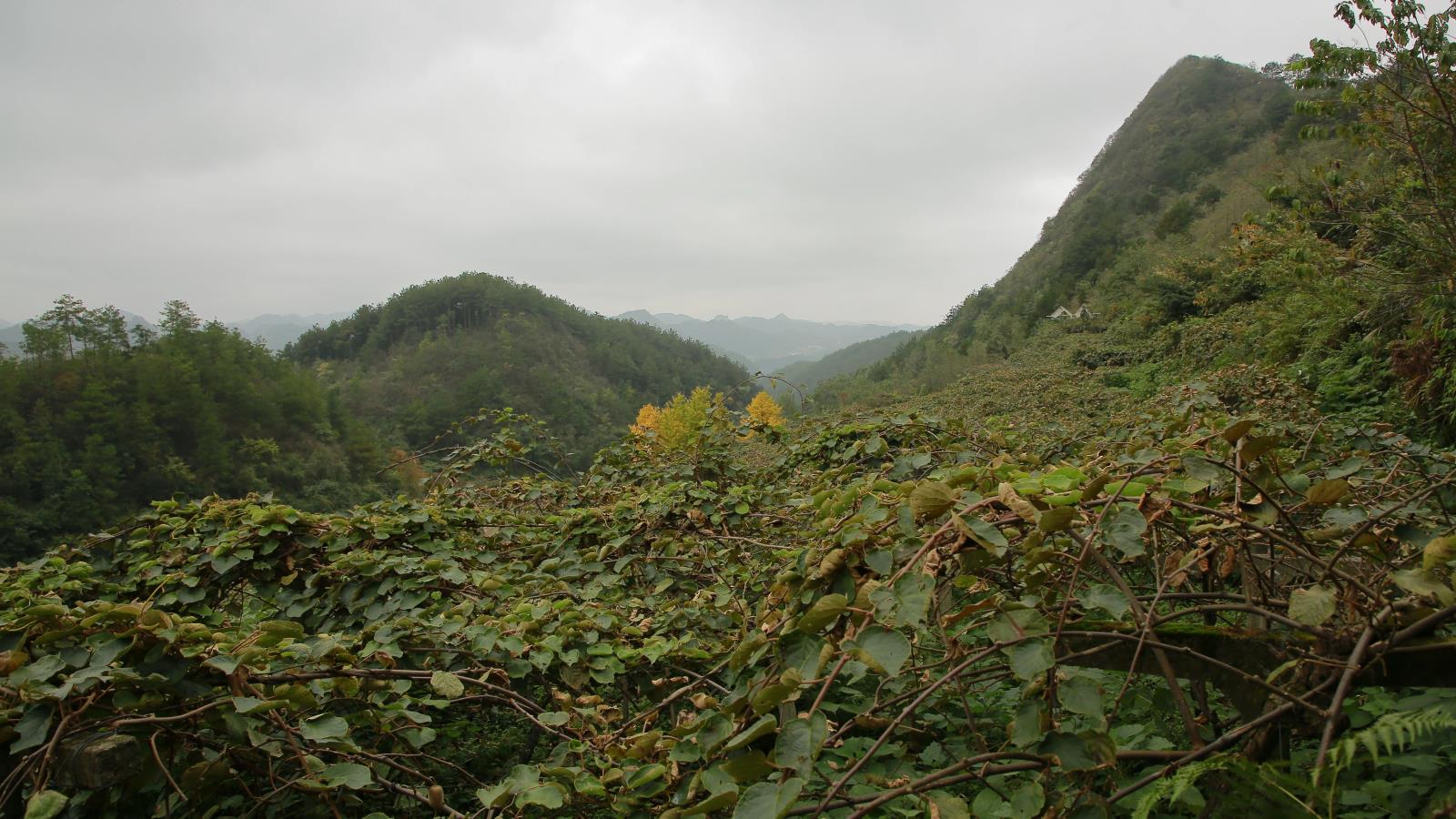 66144bb4fb545c967b8e433c9164203c.jpg 66144bb4fb545c967b8e433c9164203c.jpg