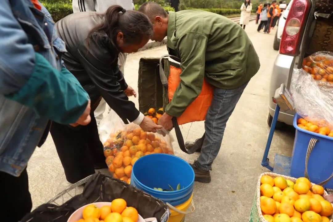 e460e6a64b17f462dadf6e282e1f4bb7.jpg e460e6a64b17f462dadf6e282e1f4bb7.jpg