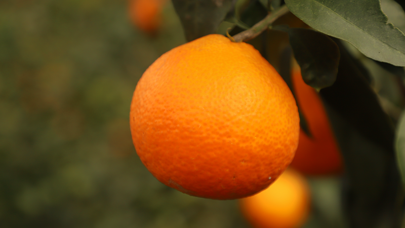 fb0df3a8552c6e1de075037f1a5b97de.png fb0df3a8552c6e1de075037f1a5b97de.png