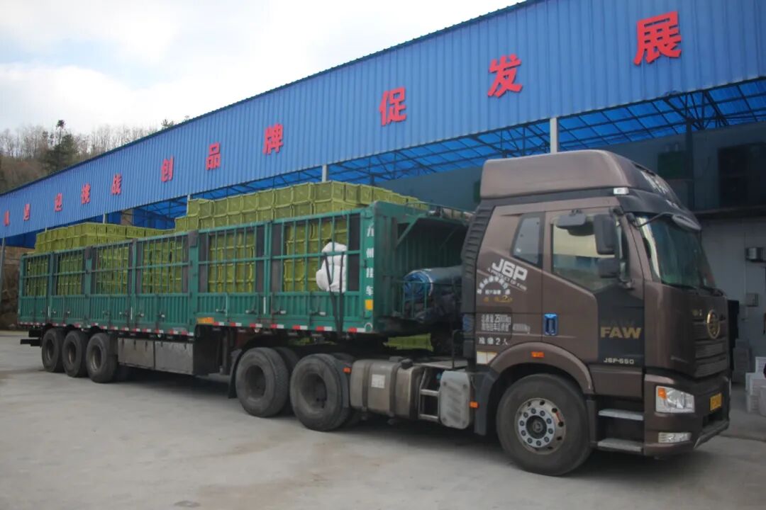 432d10d68cc2ae3bf9605c19c761b4c8.jpg 432d10d68cc2ae3bf9605c19c761b4c8.jpg