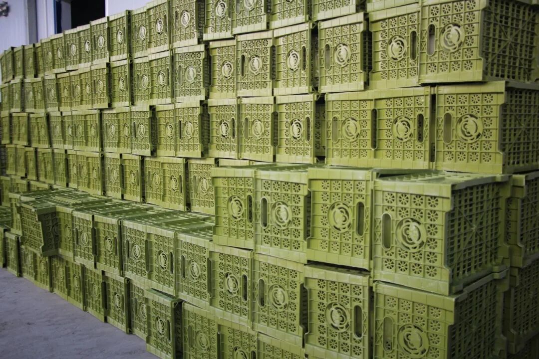 216769bc2bf2e8590c0f8a61f8535eec.jpg 216769bc2bf2e8590c0f8a61f8535eec.jpg