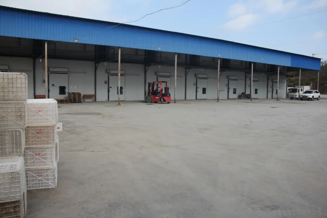 4487770f3e40bde8b561a11a98acf6b5.jpg 4487770f3e40bde8b561a11a98acf6b5.jpg