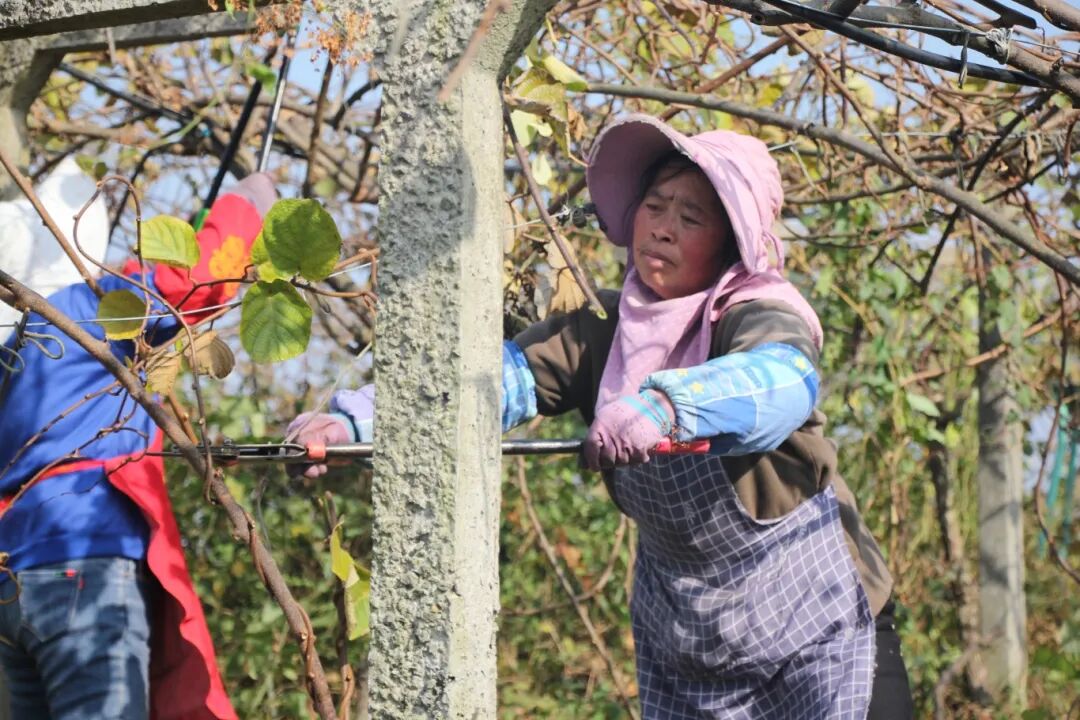 2ae4c2f34596d6de17320619d9397b56.jpg 2ae4c2f34596d6de17320619d9397b56.jpg